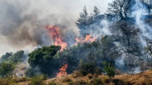 Φωτιά στο Πήλιο: Σε εξέλιξη επιχείρηση κατάσβεσης στο Νεοχώρι