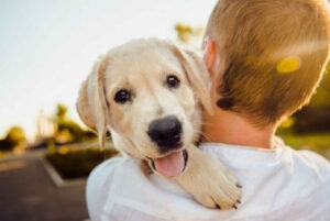 ΕΕ: Αυστηρότερο πλαίσιο για την προστασία σκύλων και γατών – Υποχρεωτικό microchip και νέοι κανόνες ευζωίας