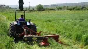 Εργαζόμενοι συνταξιούχοι: Τι ισχύει αν συνεχίσετε να εργάζεστε