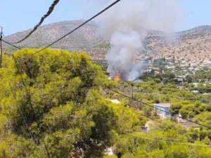 Φωτιά στη Σαλαμίνα στην περιοχή Σελίνια: Μηνύματα του 112 στους κατοίκους