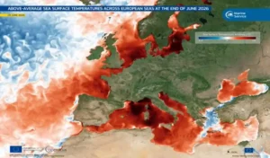 Η Μεσόγειος «βράζει»: Δορυφορικά δεδομένα αποκαλύπτουν πρωτοφανή θαλάσσια θερμότητα