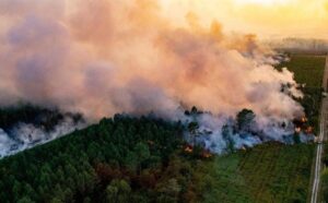 Πύρινος εφιάλτης σε Γαλλία και Ισπανία. Εκατοντάδες χιλιάδες εκτοπισμένοι, τεράστιες καταστροφές και μάχη χωρίς τέλος με τις φλόγες