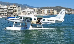 ΟΙ ΠΤΗΣΕΙΣ ΕΞΑΕΡΩΝΤΑΙ ΑΠΟ ΤΟΝ ΔΗΜΟ ΑΛΙΜΟΥ