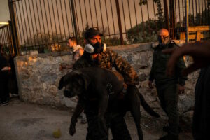 Μάχη για να σωθούν τα ζώα στις πυρόπληκτες περιοχές – Συγκινητικές διασώσεις από το ΔΙΚΕΠΑΖ σε Αττική και Βοιωτία